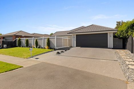 Photo of property in 16 Turvey Street, Pegasus, 7612