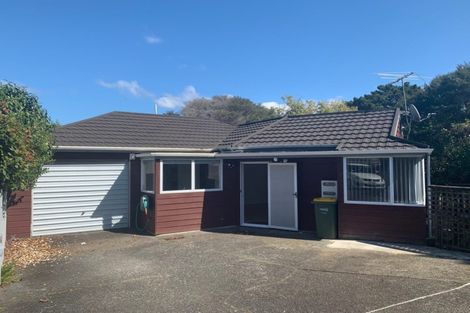 Photo of property in 3/55 Newington Road, Henderson, Auckland, 0612