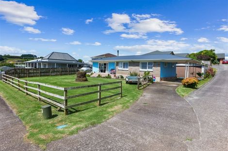 Photo of property in 66 Jellicoe Avenue, Tuakau, 2121