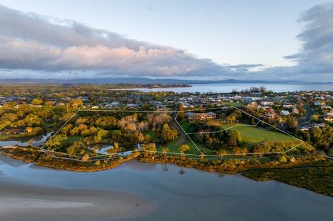 Photo of property in 20 Tinopai Drive, Omokoroa, 3114