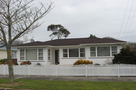 Photo of property in 53 Graham Street, Levin, 5510