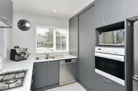 Photo of property in 49 Beechwood Drive, Northwood, Christchurch, 8051