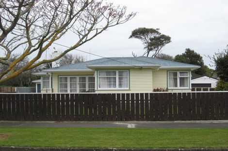 Photo of property in 51 Graham Street, Levin, 5510