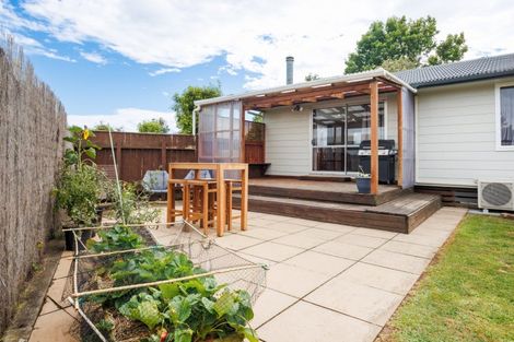 Photo of property in 20 Wills Crescent, Ashhurst, 4810