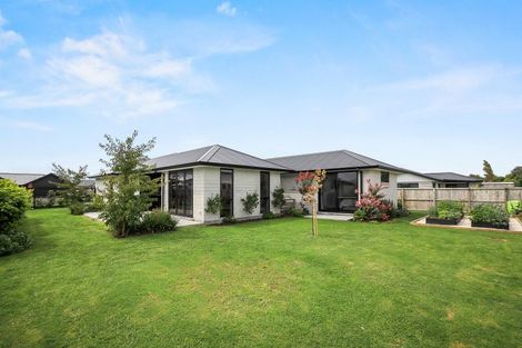 Photo of property in 31 Costello Drive, Ngatea, 3503