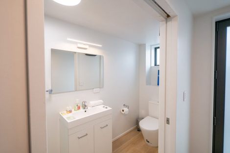 Photo of property in 241 Castle Street, Dunedin Central, Dunedin, 9016