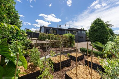 Photo of property in 15 Milsom Place, Te Puke, 3119