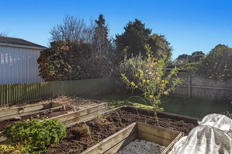 Photo of property in 60 Grant Road, Opotiki, 3122