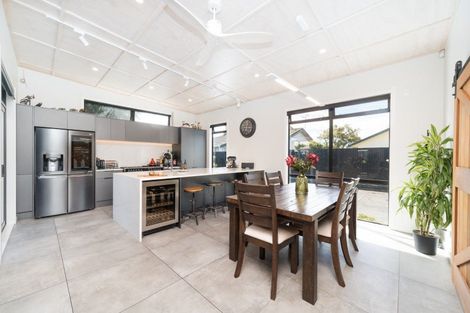 Photo of property in 44 Limbrick Street, Terrace End, Palmerston North, 4410