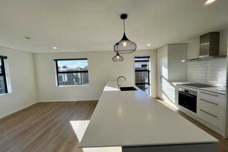 Photo of property in 14 Larch Drive, Rolleston, 7614