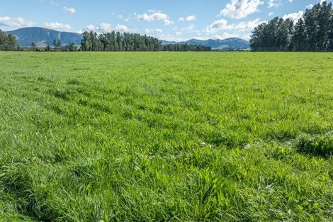 Photo of property in 375 Stonyflat Road, Loburn, Rangiora, 7472