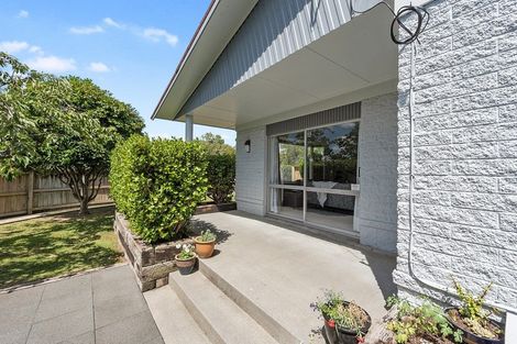 Photo of property in 19 Claremont Avenue, Chartwell, Hamilton, 3210