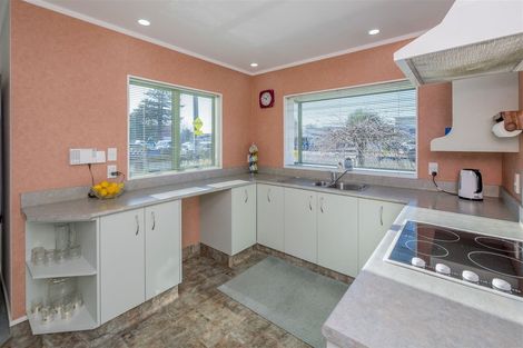 Photo of property in 41 Weraroa Road, Levin, 5510