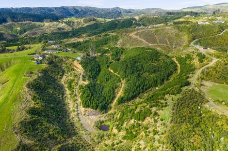 Photo of property in 12 Fleetwood Lane, Turitea, Palmerston North, 4472