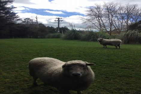 Photo of property in 114 Hamilton Road, Warkworth, 0982