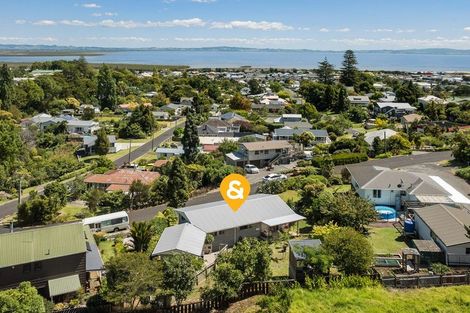 Photo of property in 100 Mill Street, Thames, 3500