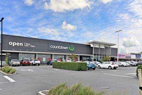 Photo of property in 19 Waituarua Drive, Takanini, 2112