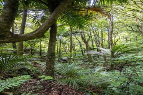 Photo of property in 531 Frankley Road, Hurworth, New Plymouth, 4371