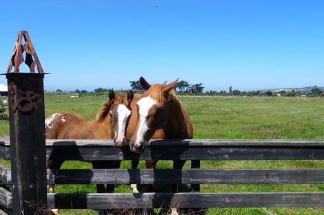 Photo of property in 258c Mount Fyffe Road, Kaikoura Flat, Kaikoura, 7300