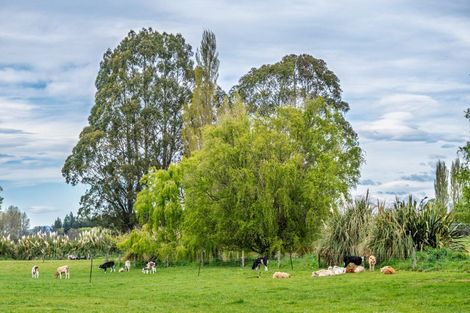 Photo of property in 111 Beeby Road, Orari, Temuka, 7986