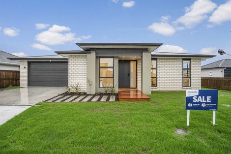 Photo of property in 48 Maggie Place, Chartwell, Hamilton, 3210