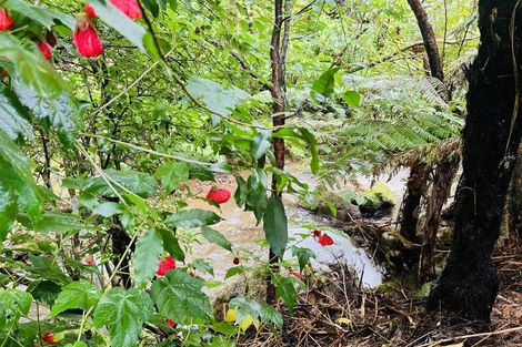 Photo of property in 275 Lillis Lane, Coromandel, 3506