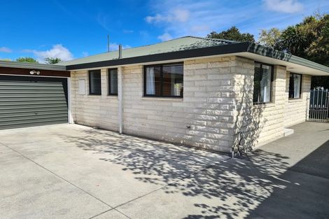 Photo of property in 53 Diamond Avenue, Spreydon, Christchurch, 8024