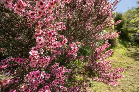 Photo of property in 50b Waimea Road, Nelson South, Nelson, 7010