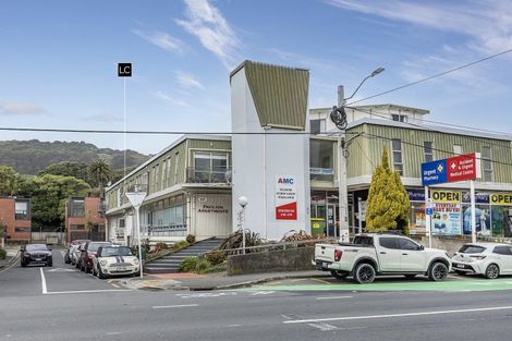 Photo of property in 17u3 Adelaide Road, Mount Cook, Wellington, 6021