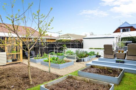 Photo of property in 46 Naylor Street, Hamilton East, Hamilton, 3216