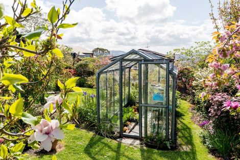 Photo of property in 59 Isadore Road, Saint Clair, Dunedin, 9012