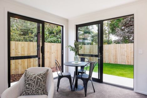Photo of property in 13 Ihle Street, Terrace End, Palmerston North, 4410