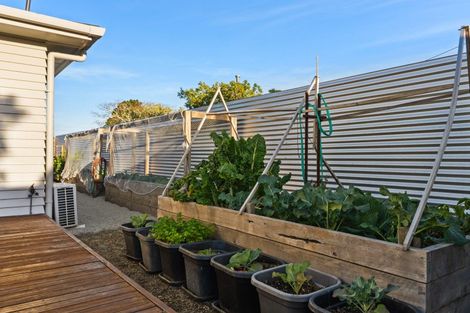 Photo of property in 19 Elm Street, Mangapapa, Gisborne, 4010