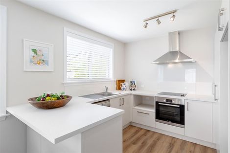 Photo of property in 36 Condell Avenue, Papanui, Christchurch, 8053