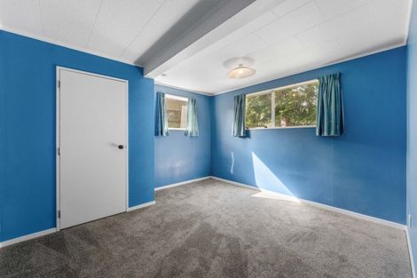 Photo of property in 61 Hinekura Avenue, Taupo, 3330