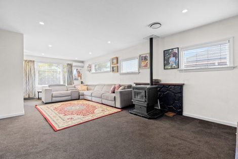 Photo of property in 106 Briggs Road, Shirley, Christchurch, 8052