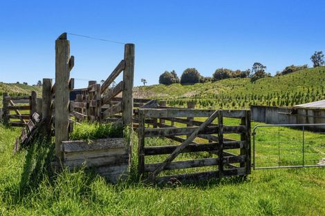 Photo of property in 414 Matahi Road, Rotoma, Whakatane, 3194