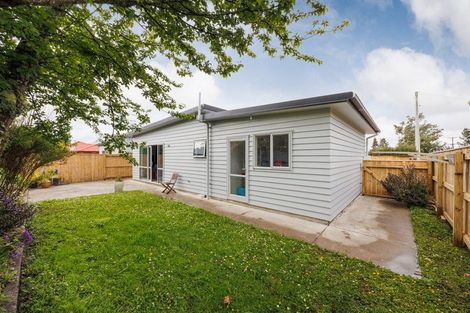 Photo of property in 3a Chamberlain Street, Feilding, 4702
