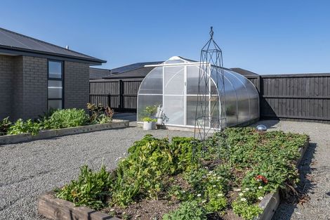 Photo of property in 15 Chimango Place, Rolleston, 7615