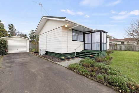 Photo of property in 41 Armagh Terrace, Marton, 4710