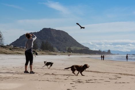 Photo of property in 21/281 Maunganui Road, Mount Maunganui, 3116