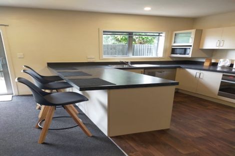 Photo of property in 514 Barbadoes Street, Edgeware, Christchurch, 8013