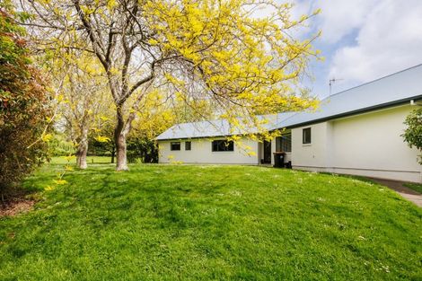 Photo of property in 31 Kahuterawa Road, Linton, Palmerston North, 4472