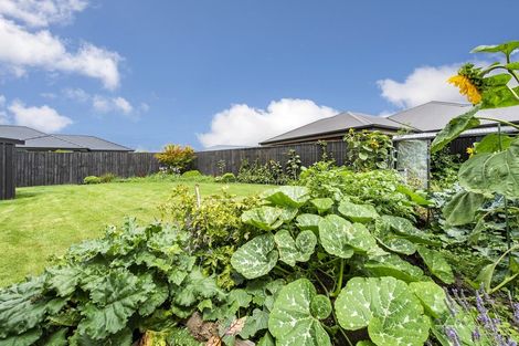 Photo of property in 8 Gracia Avenue, Rolleston, 7615
