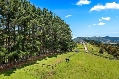 Photo of property in 304 Tuhirangi Road, Makarau, Warkworth, 0984
