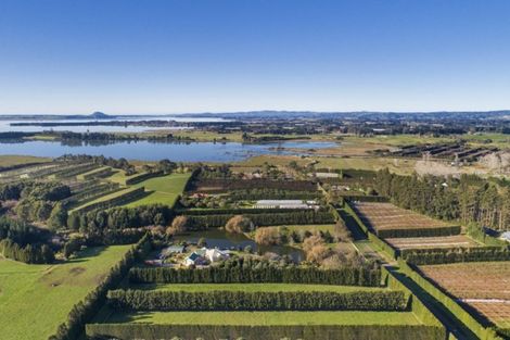 Photo of property in 98 Tetley Road, Tahawai, 3178