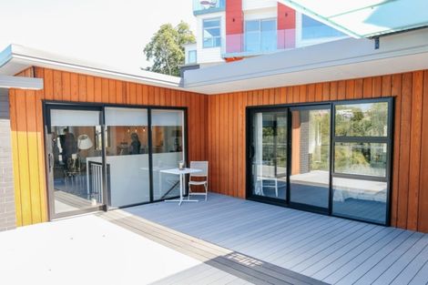 Photo of property in 33 Hillsborough Terrace, Hamilton Central, Hamilton, 3204