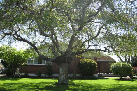 Photo of property in 14 Neale Avenue, Stoke, Nelson, 7011