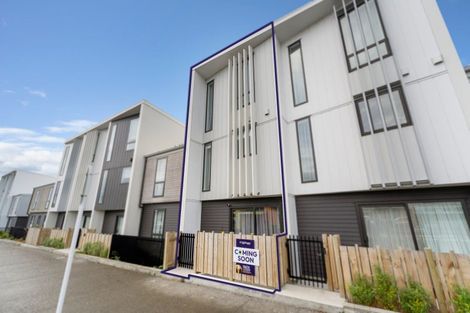 Photo of property in 17 Kamahi Place, Paraparaumu, 5032