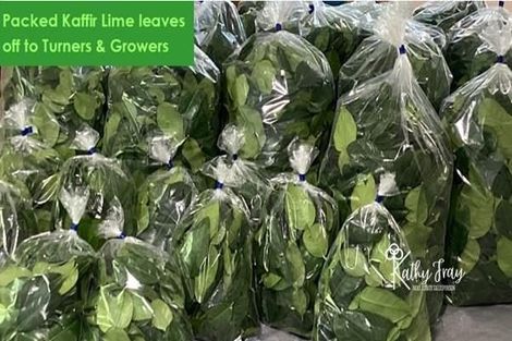 Photo of property in 70 Rototuna Road, Pouto, Te Kopuru, 0391